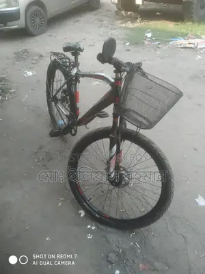 Prince Bicycle for Sale