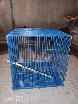 Bird Cages