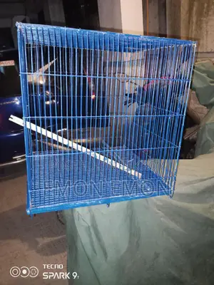 Bird Cages