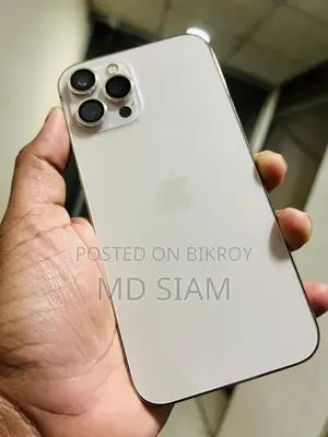 অ্যাপল আইফোন ১২ প্রো ম্যাক্স (ব্যবহৃত)