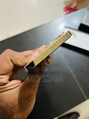 অ্যাপল আইফোন ১২ প্রো ম্যাক্স (ব্যবহৃত)