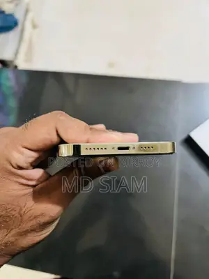 অ্যাপল আইফোন ১২ প্রো ম্যাক্স (ব্যবহৃত)