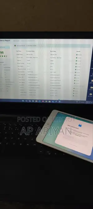 Apple iPad mini 5 256 GB