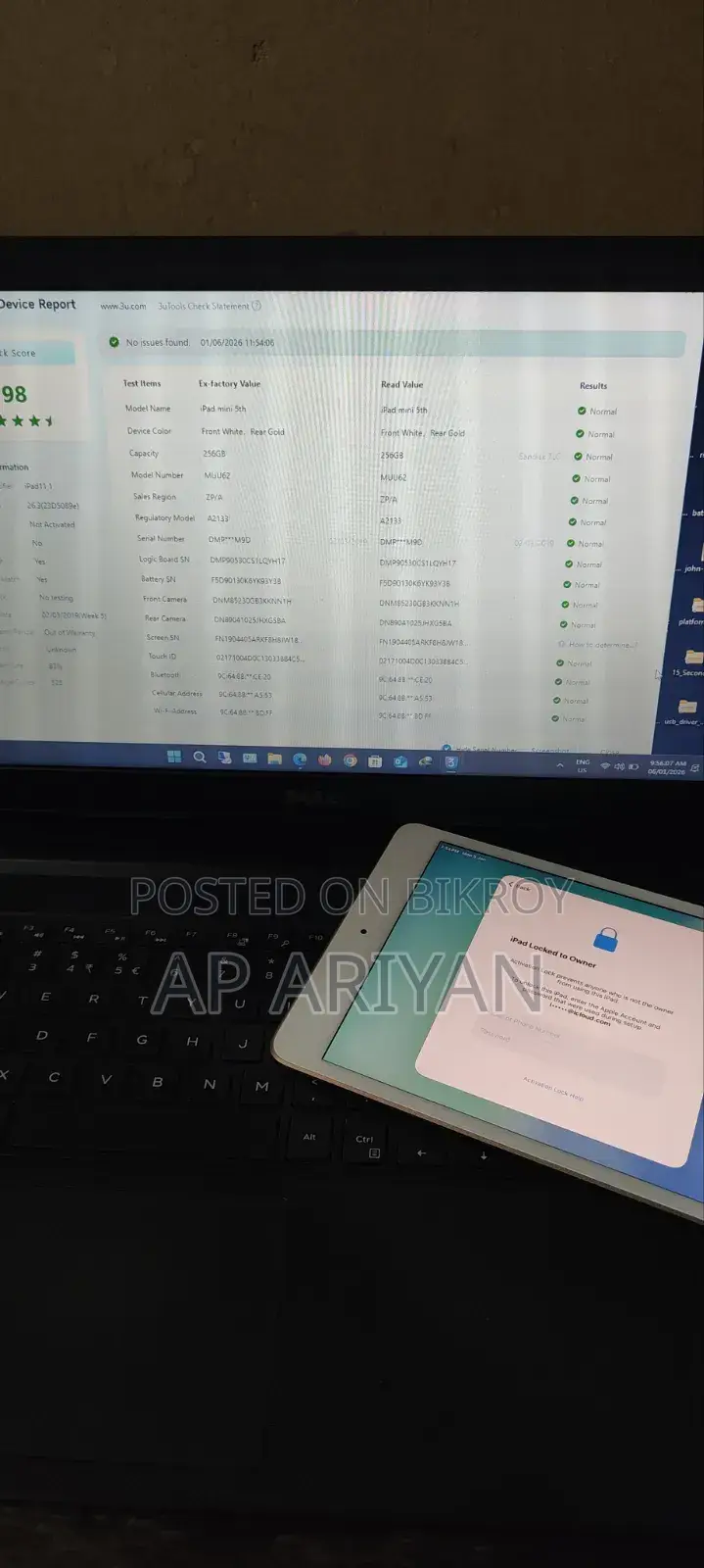 Apple iPad mini 5 256 GB