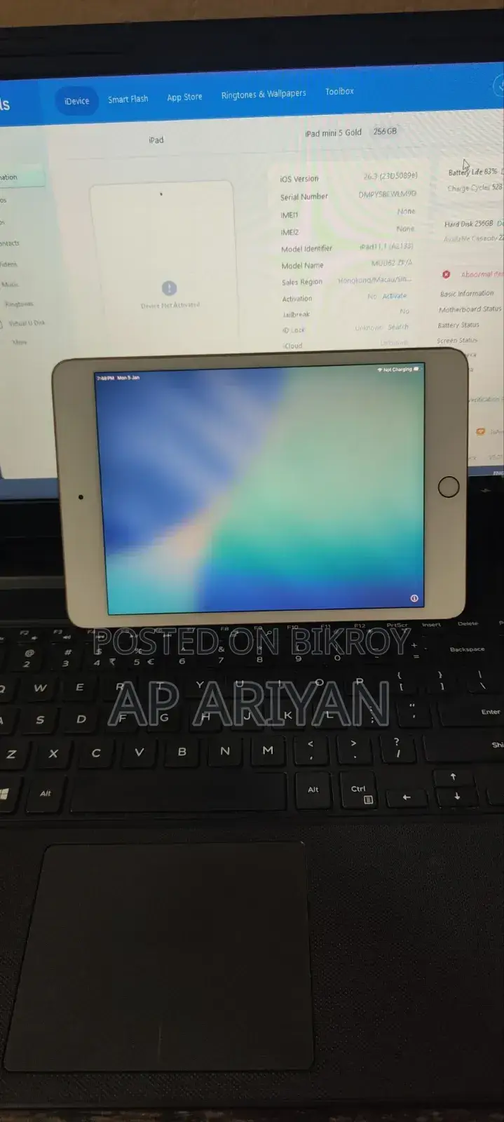 Apple iPad mini 5 256 GB