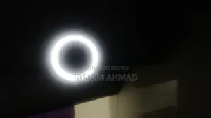 Fan With Circular Light