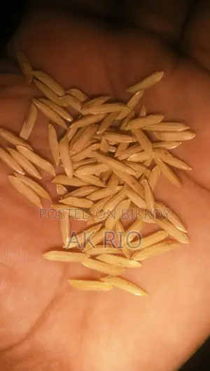 পাকিস্তানি লং বাসমতী