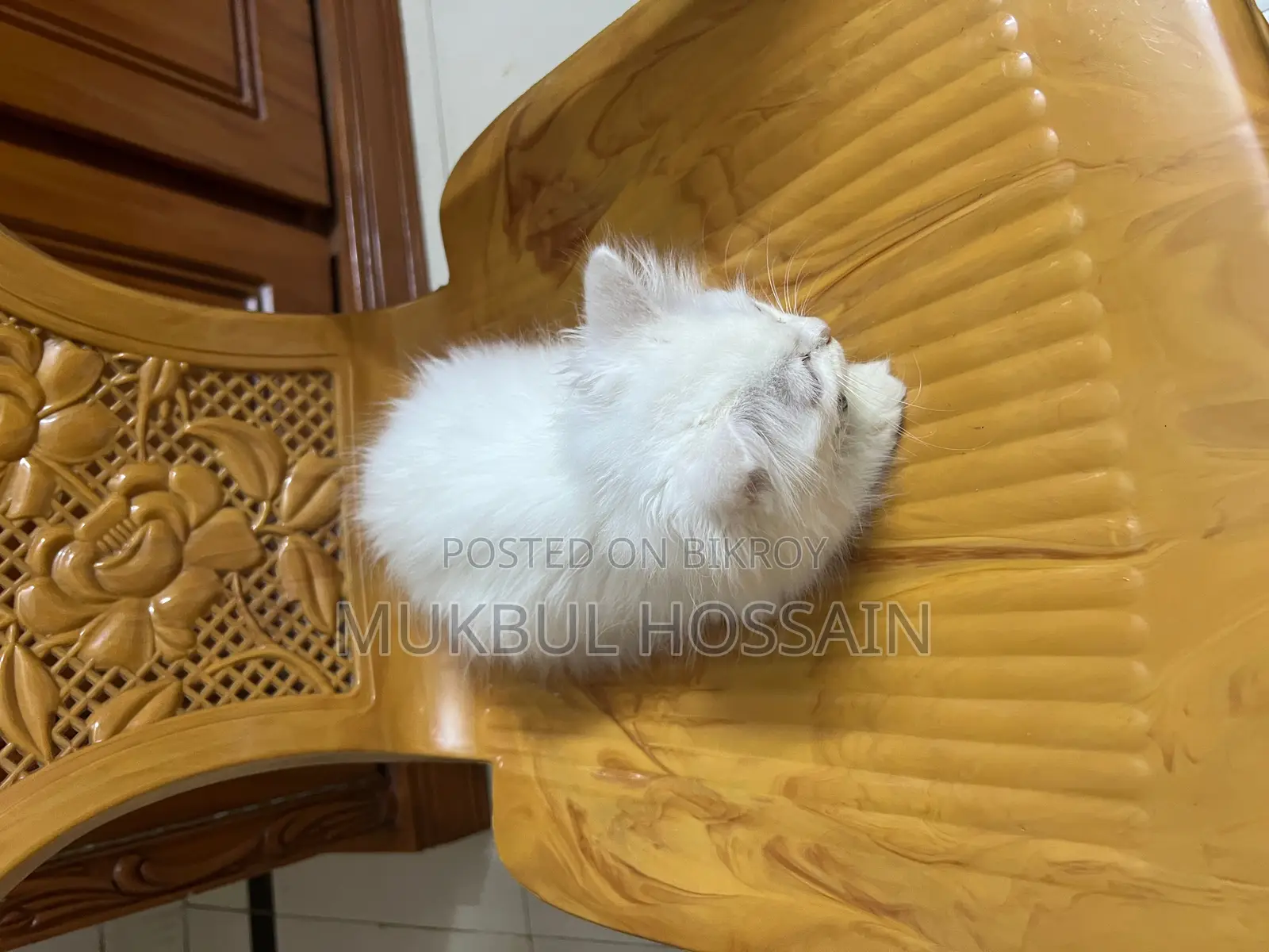 Persian