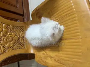Persian