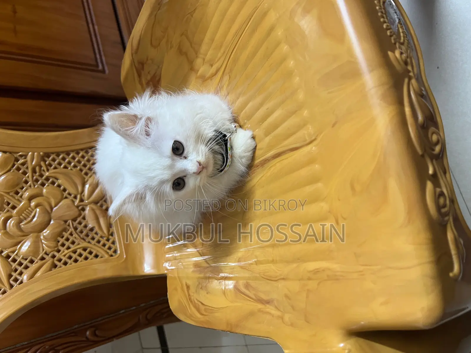 Persian