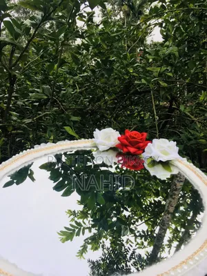 Wall Miror Hand Craft's