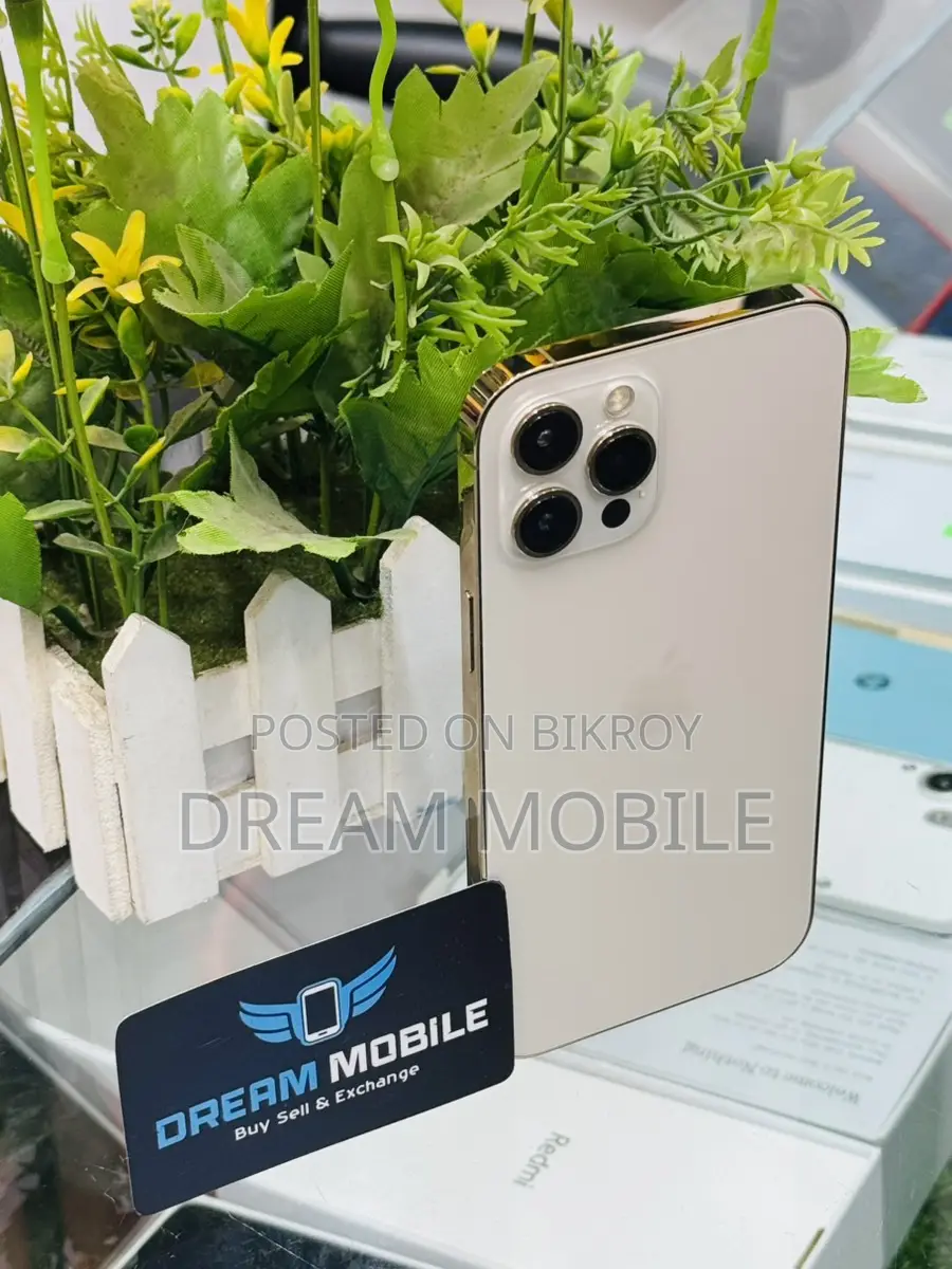 Apple iPhone 12 Pro Max (ব্যবহৃত)