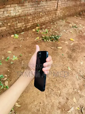 Apple iPhone 13 (Used)