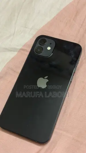 Apple iPhone 12 (Used)