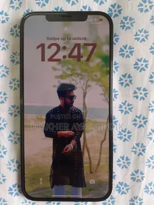 অ্যাপল আইফোন ১২ প্রো ম্যাক্স ২৫৬ (ব্যবহৃত)