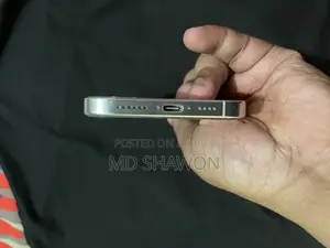 Apple iPhone 16 Pro Max (Used)