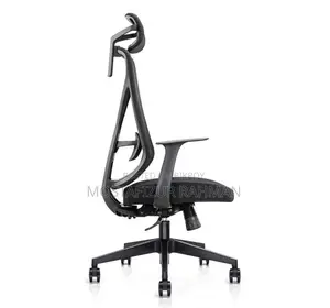 Ergo Comfy B1 – Premium Ergonomic Chair