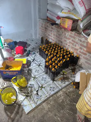 খাঁটি দেশি সরিষার তেল