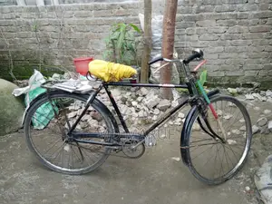 Royal Bicycle