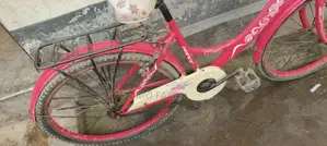 Women's Bicycle