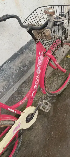Women's Bicycle
