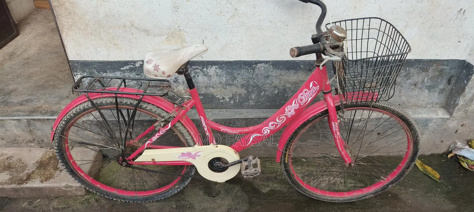 Women's Bicycle