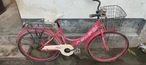 Women's Bicycle