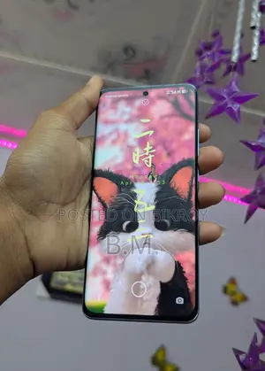 Xiaomi 12 Chinese (Used)