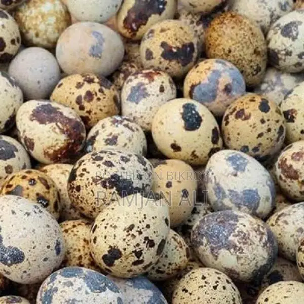 Quail Eggs