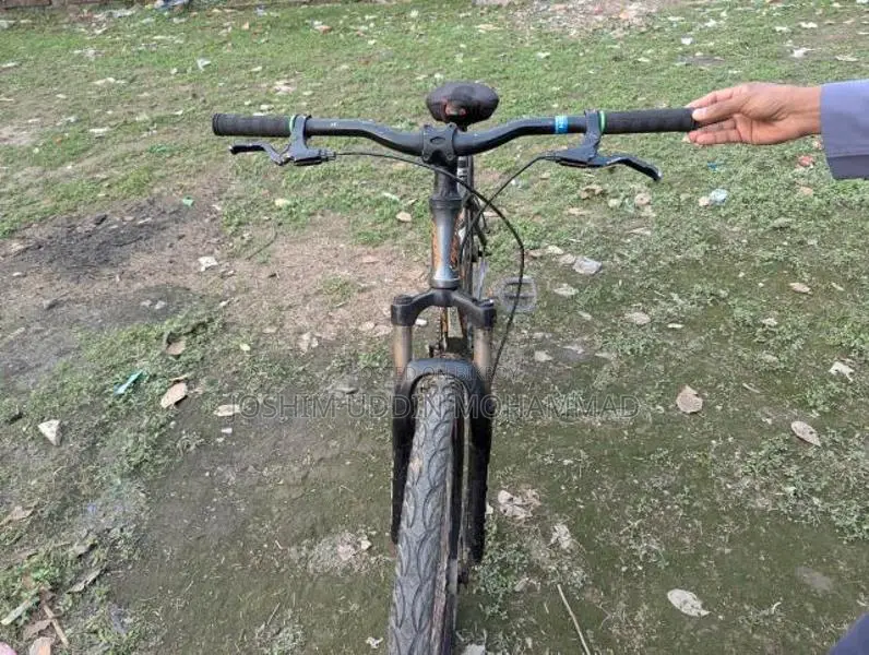 বাইসাইকেল