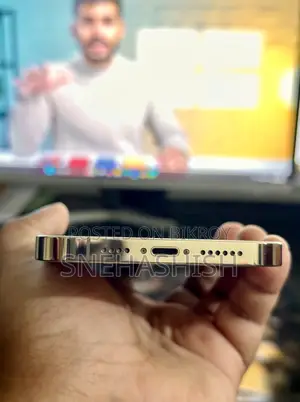 Apple iPhone 13 Pro Max (Used)