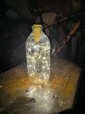 Decorative Glass Bottle LED Light
