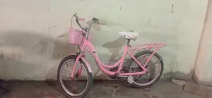Ladies Bicycle