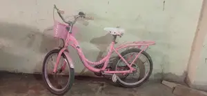 Ladies Bicycle
