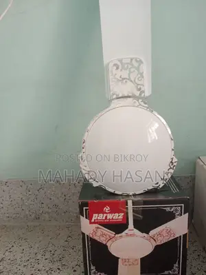 Pakistani Fan