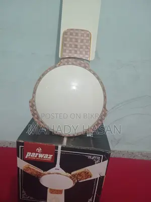 Pakistani Fan