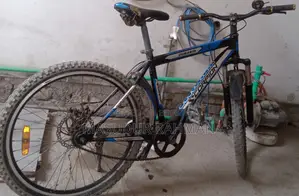 Duronto Bicycle (Non-gear)