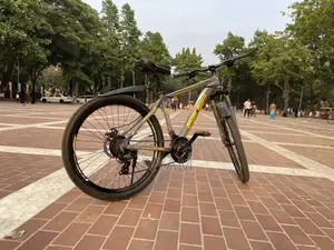 পিয়ারলেস সাইকেল জরুরি ভিত্তিতে বিক্রি হবে
