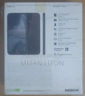 Nokia 4.2 (Used)