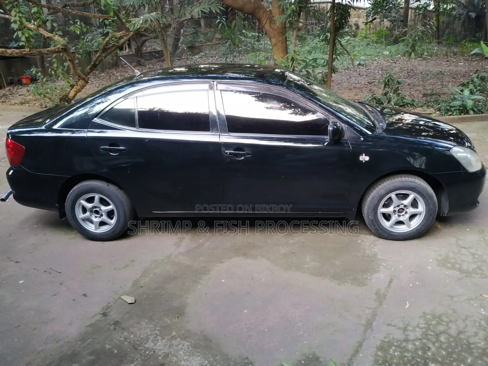 Toyota Allion 2002 Black