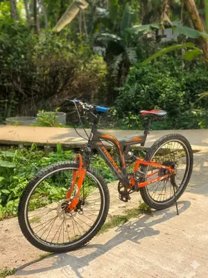 Phoenix Bicycle