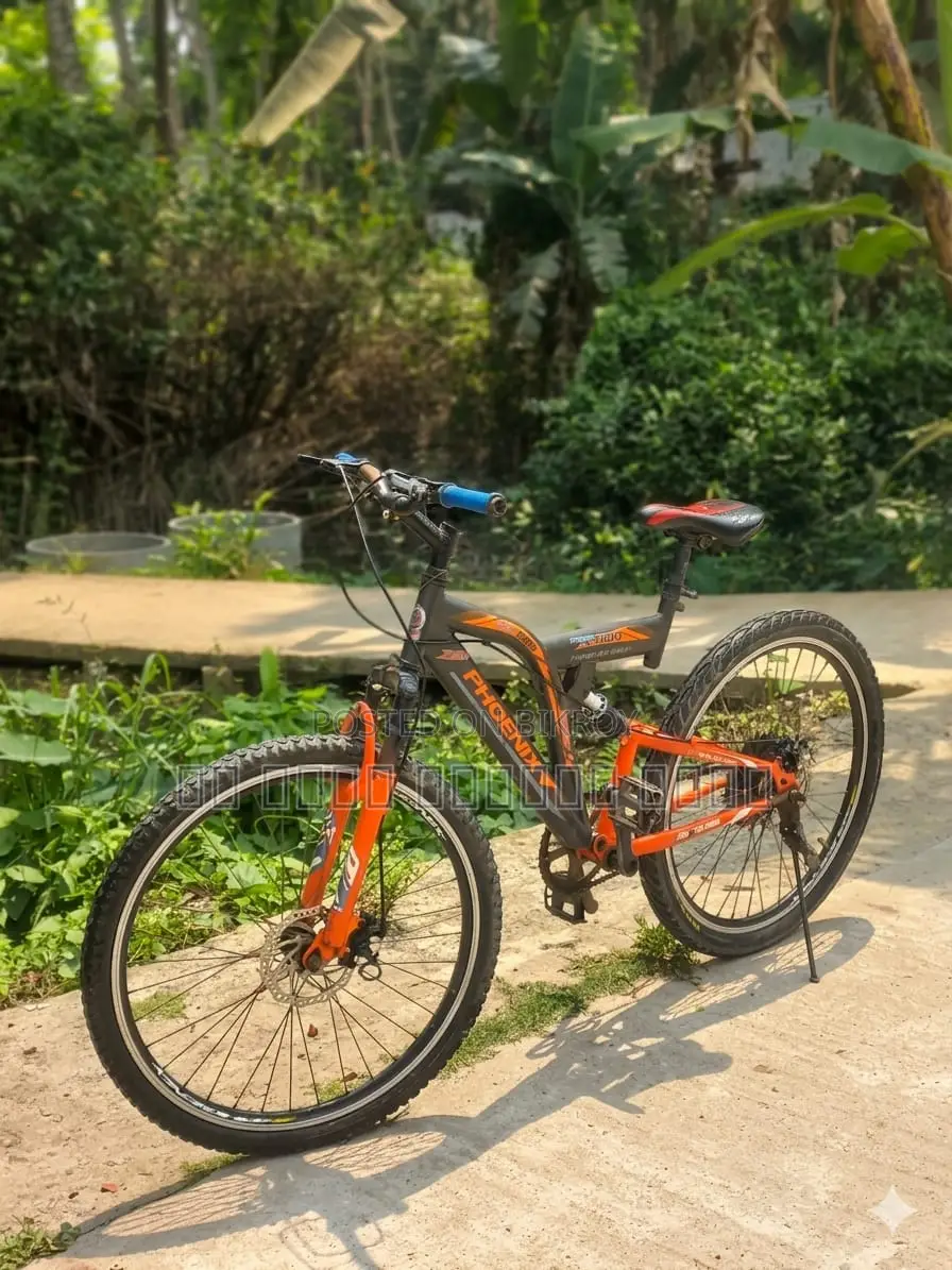 Phoenix Bicycle