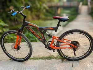 Phoenix Bicycle