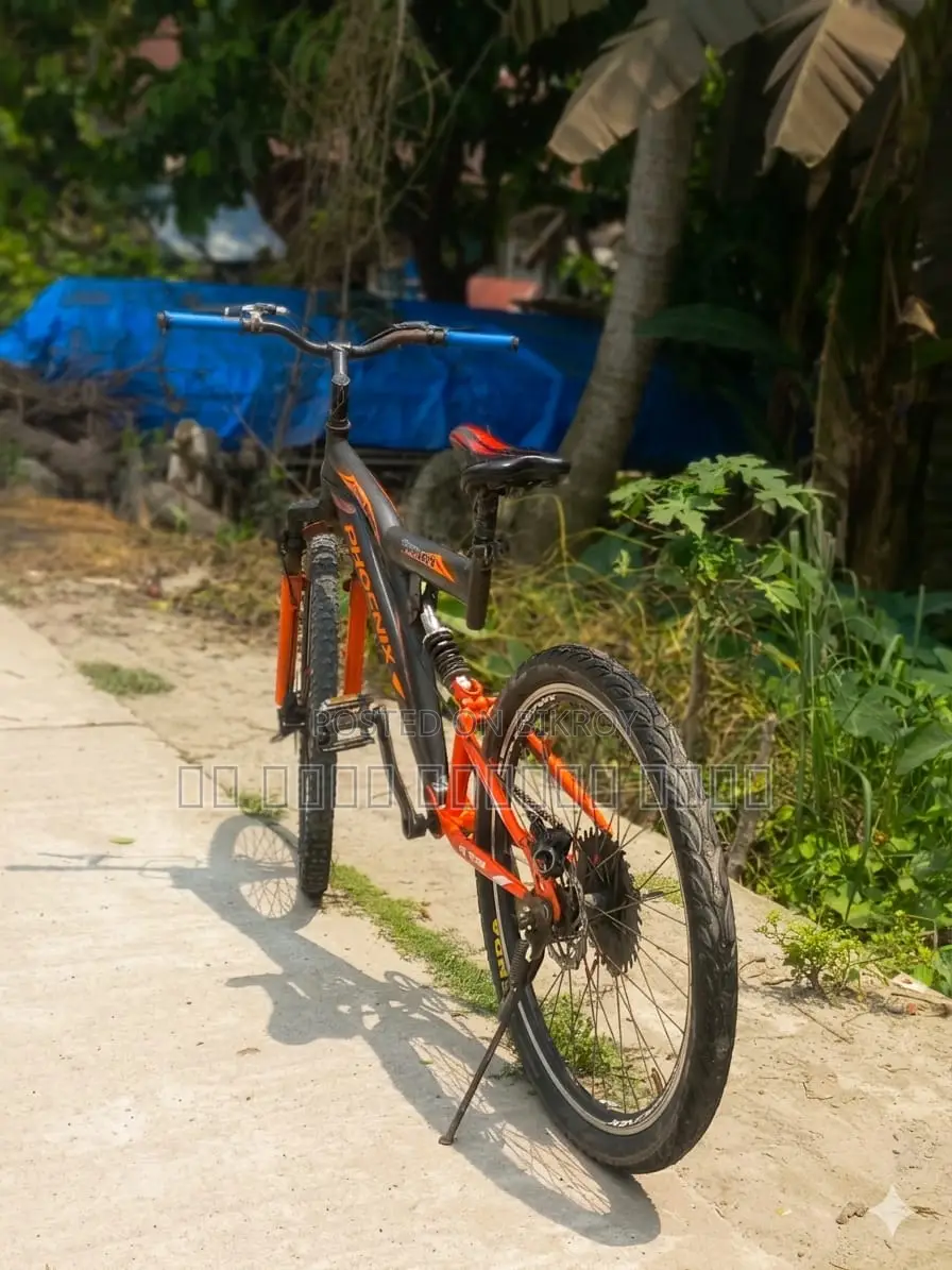Phoenix Bicycle