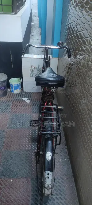 ইন্ডিয়ান অরিজিনাল "টাটা" সাইকেল
