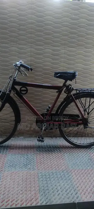 ইন্ডিয়ান অরিজিনাল "টাটা" সাইকেল
