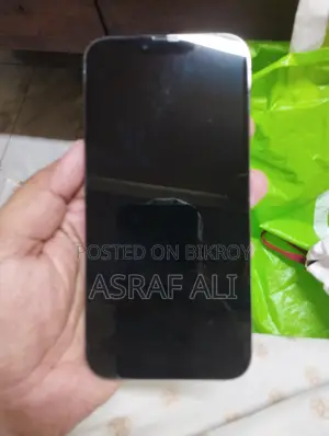 Apple iPhone 13 Pro Max (Used)