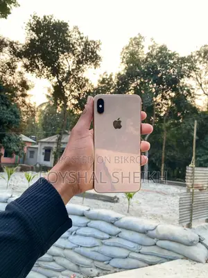 Apple iPhone XS Max (Used)