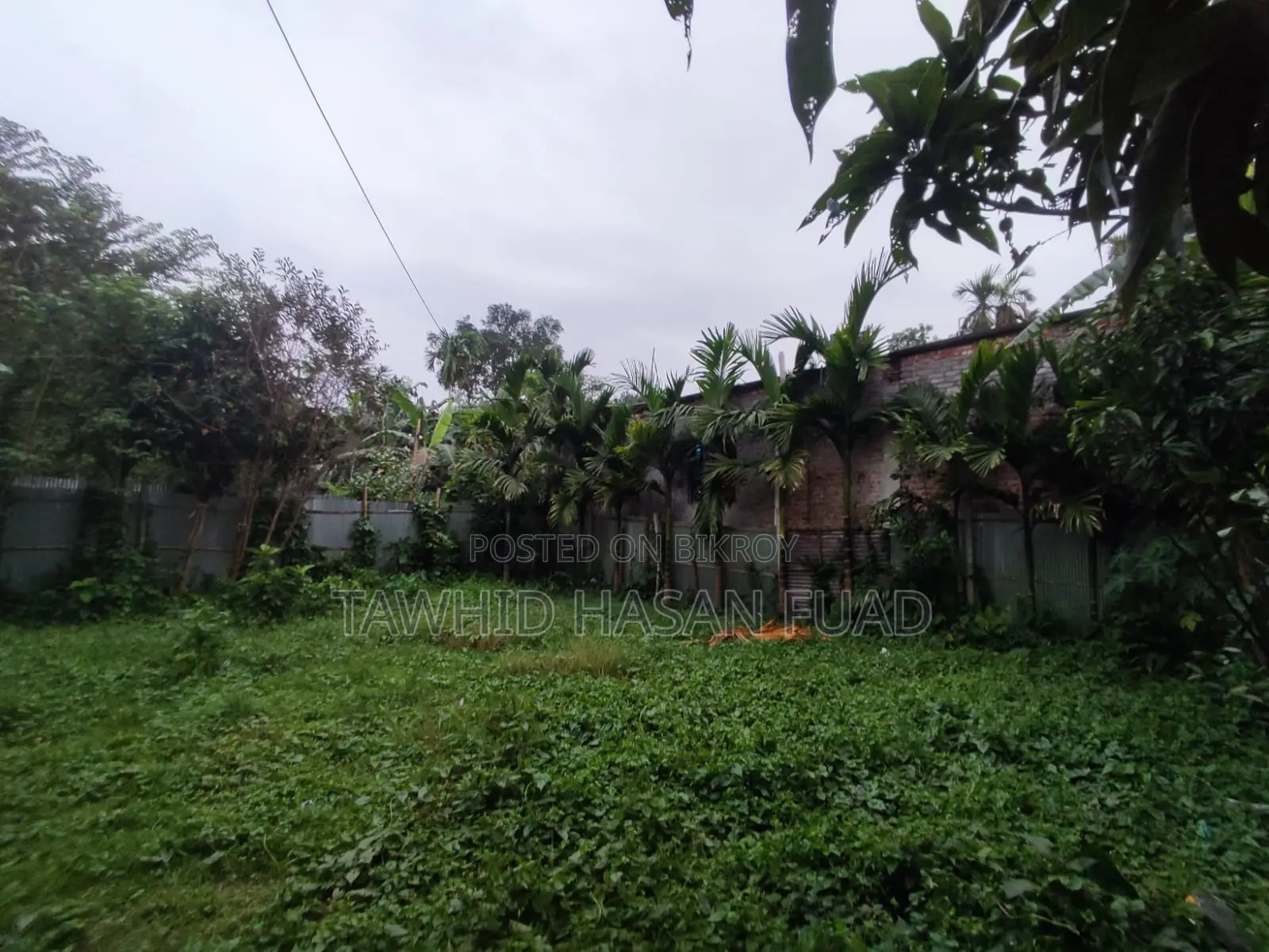 Urgent Land Sale