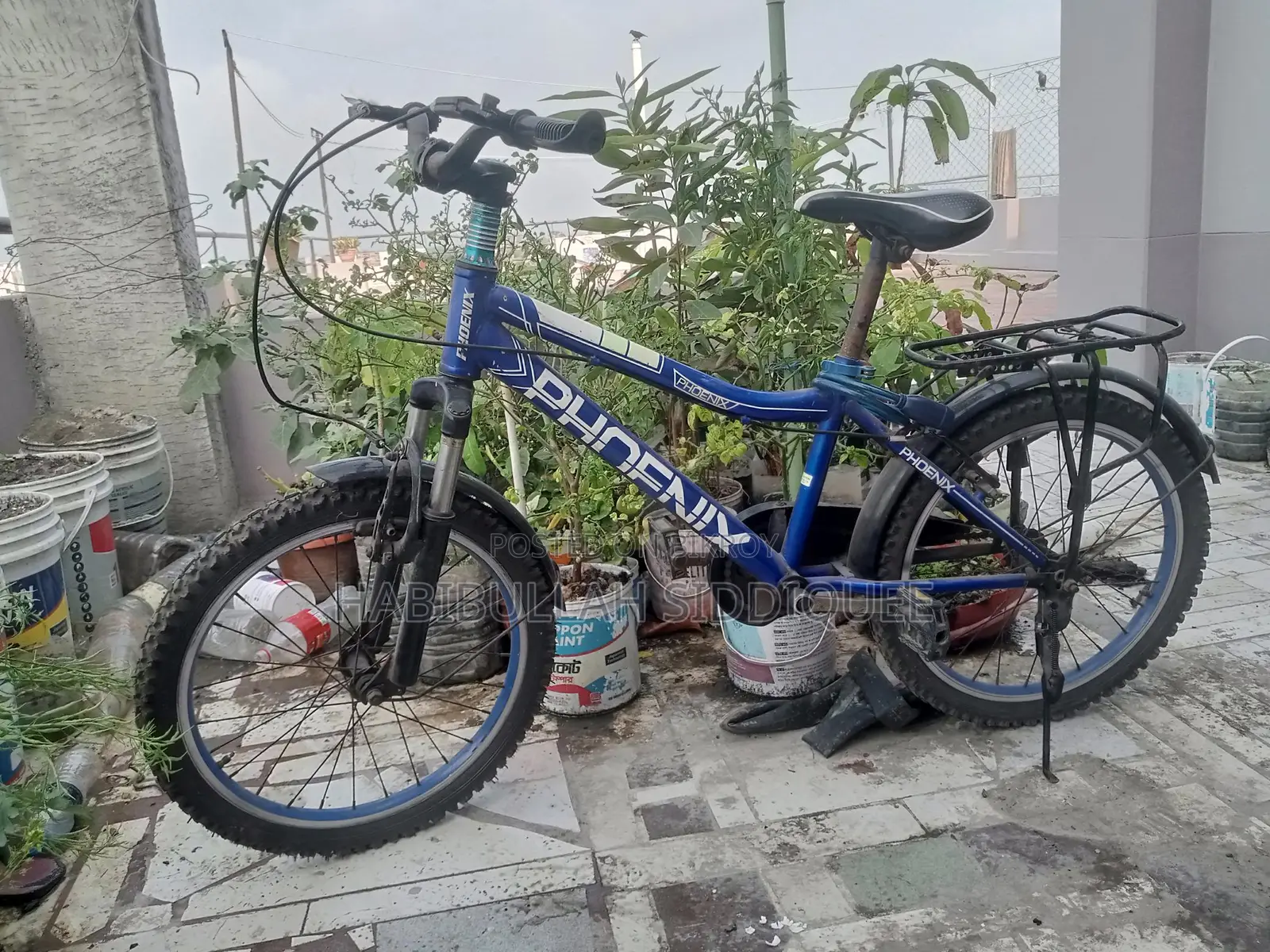 Phoenix Bicycle for Sale